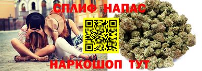 spice Бузулук