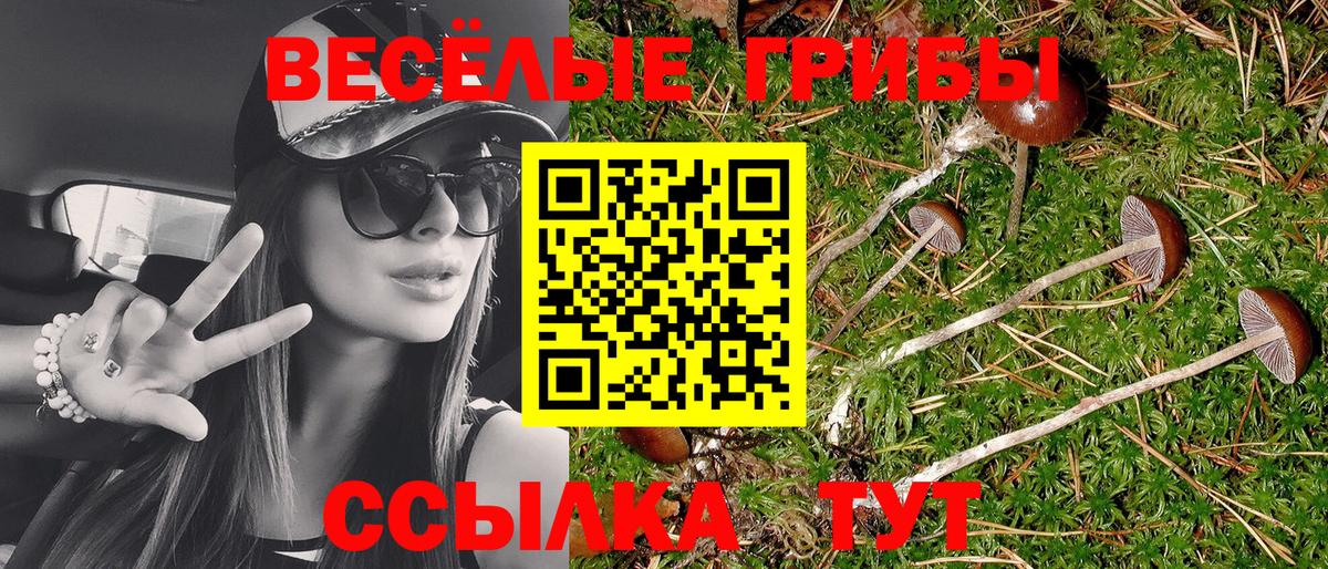 Нарьян-Мар  Галлюциногенные грибы прущие грибы  Псилоцибиновые грибы Psilocybine cubensis  Вход с VPN 