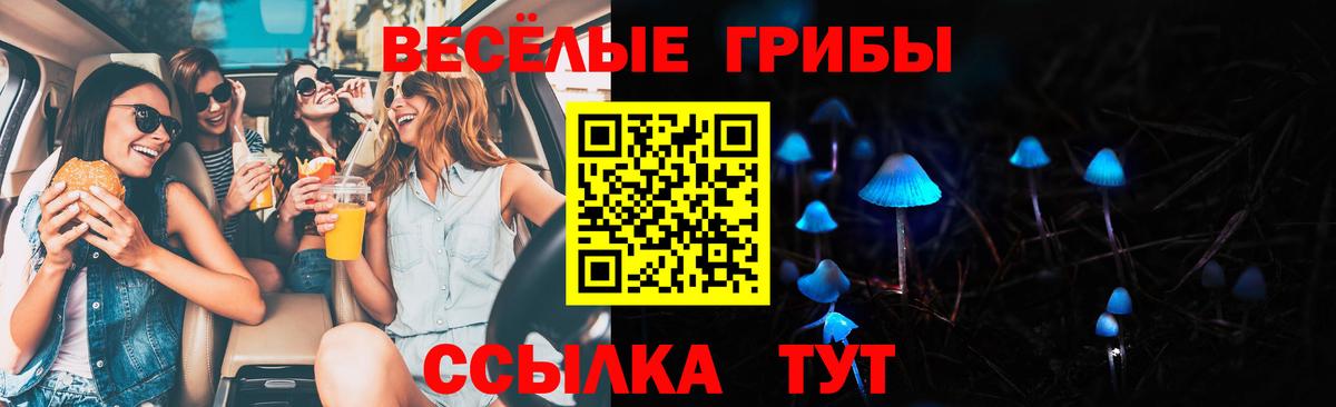 Псилоцибиновые грибы GOLDEN TEACHER Нарьян-Мар